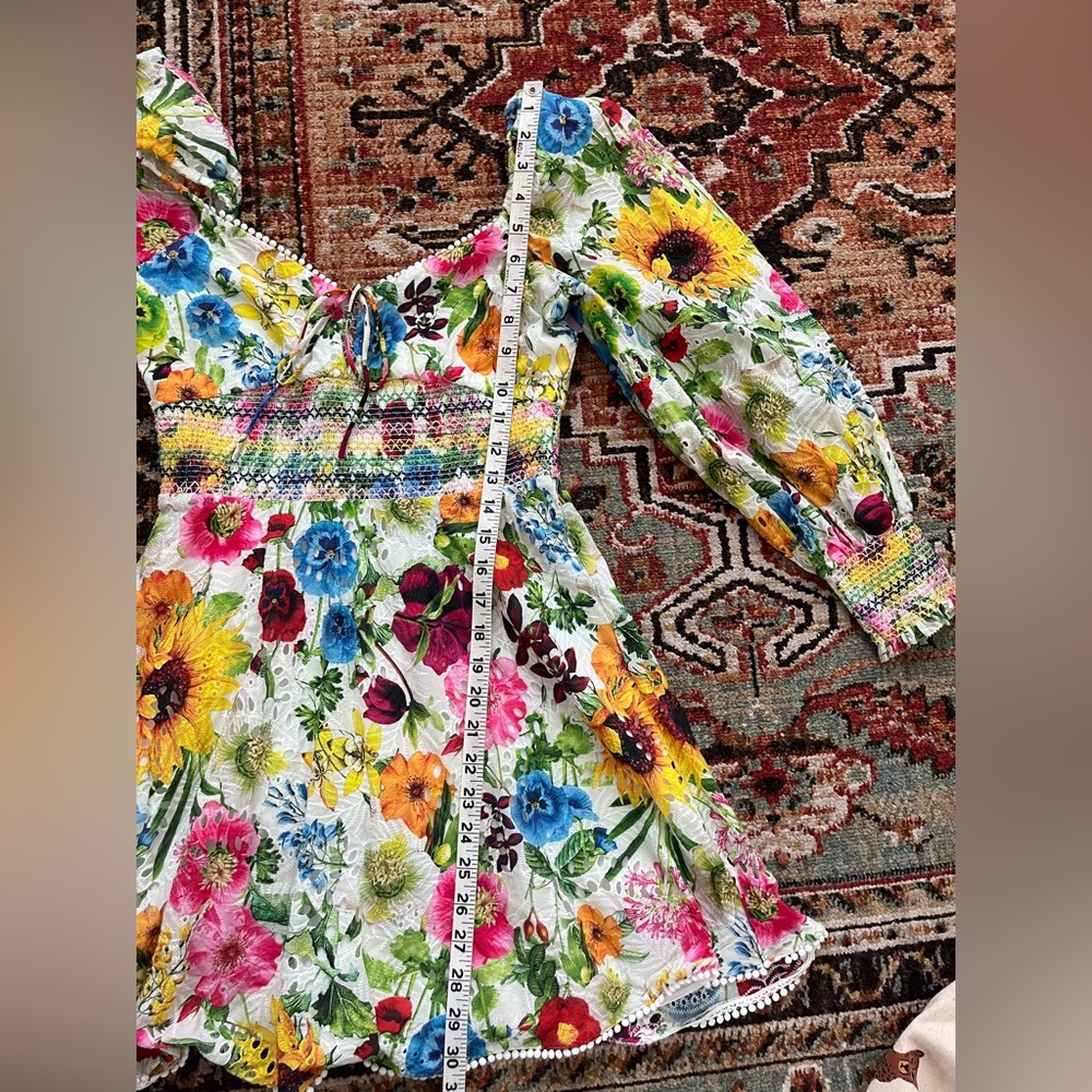 Alice and olivia Crawford Mini Dress in Sunday Stroll Multi Floral Eyelet 4 - Picture 13 of 13